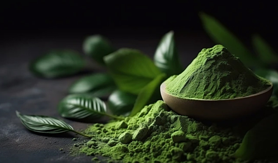 Ethical & Sustainable Tea Farming